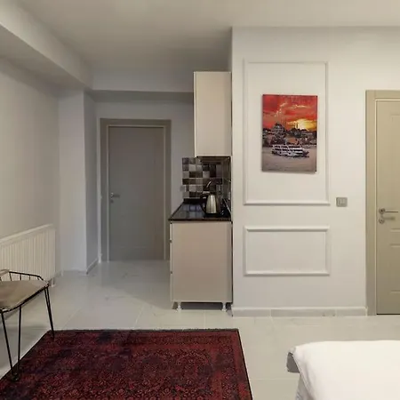 Cozy & Comfy Studio At Beyoglu - 64