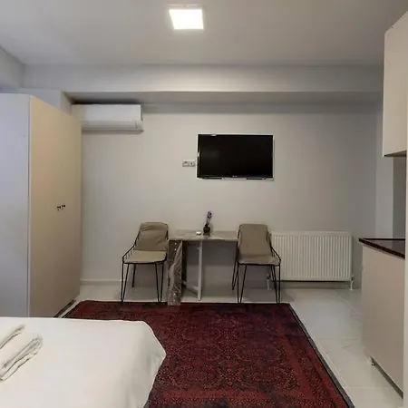 公寓 Cozy & Comfy Studio At Beyoglu - 64 *